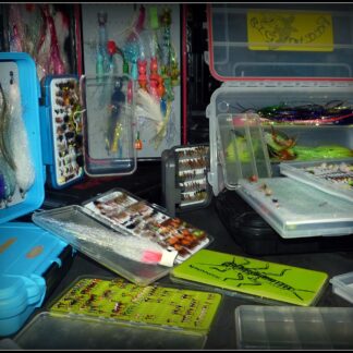 Boîte à Mouches VISION